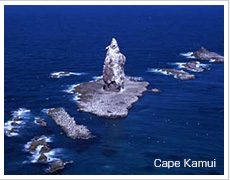 Cape Kamui