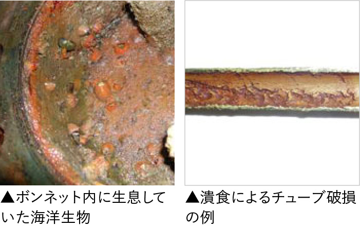 左:ボンネット内に生息していた海洋生物 右:潰食によるチューブ破損の例